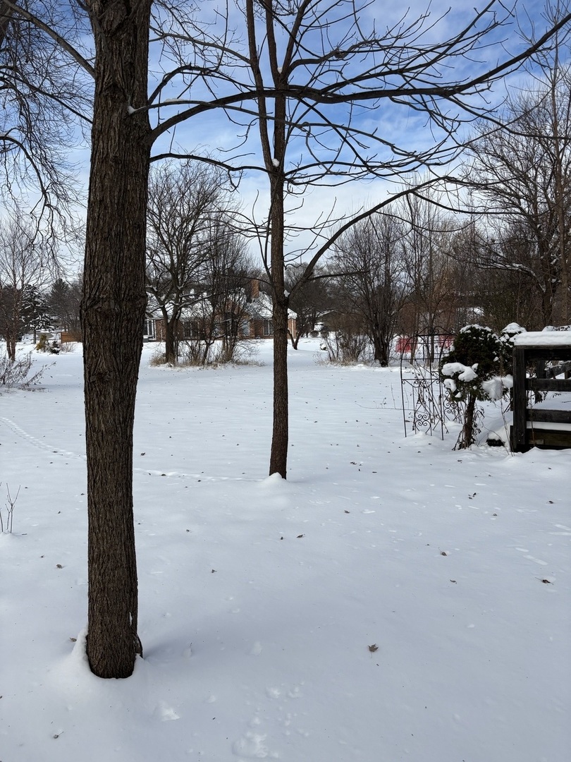 104 Thorobred Lane, Sleepy Hollow, IL 60118