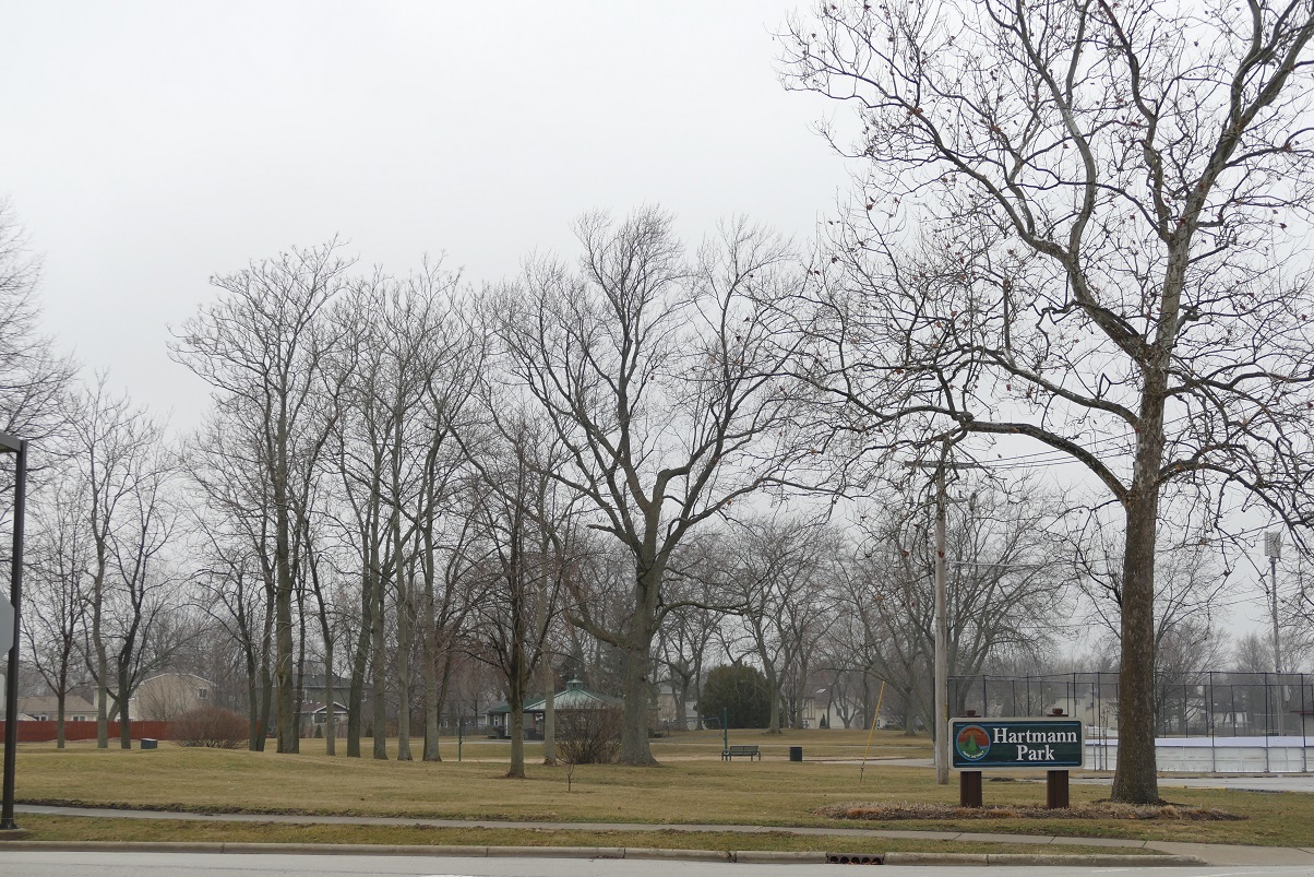 711 Lakeside Drive, Vernon Hills, IL 60061