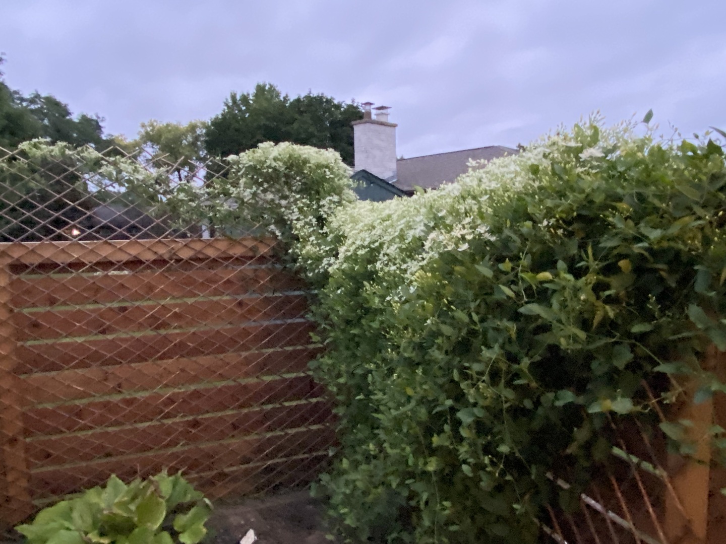 419 S Royal Court, Palatine, IL 60067