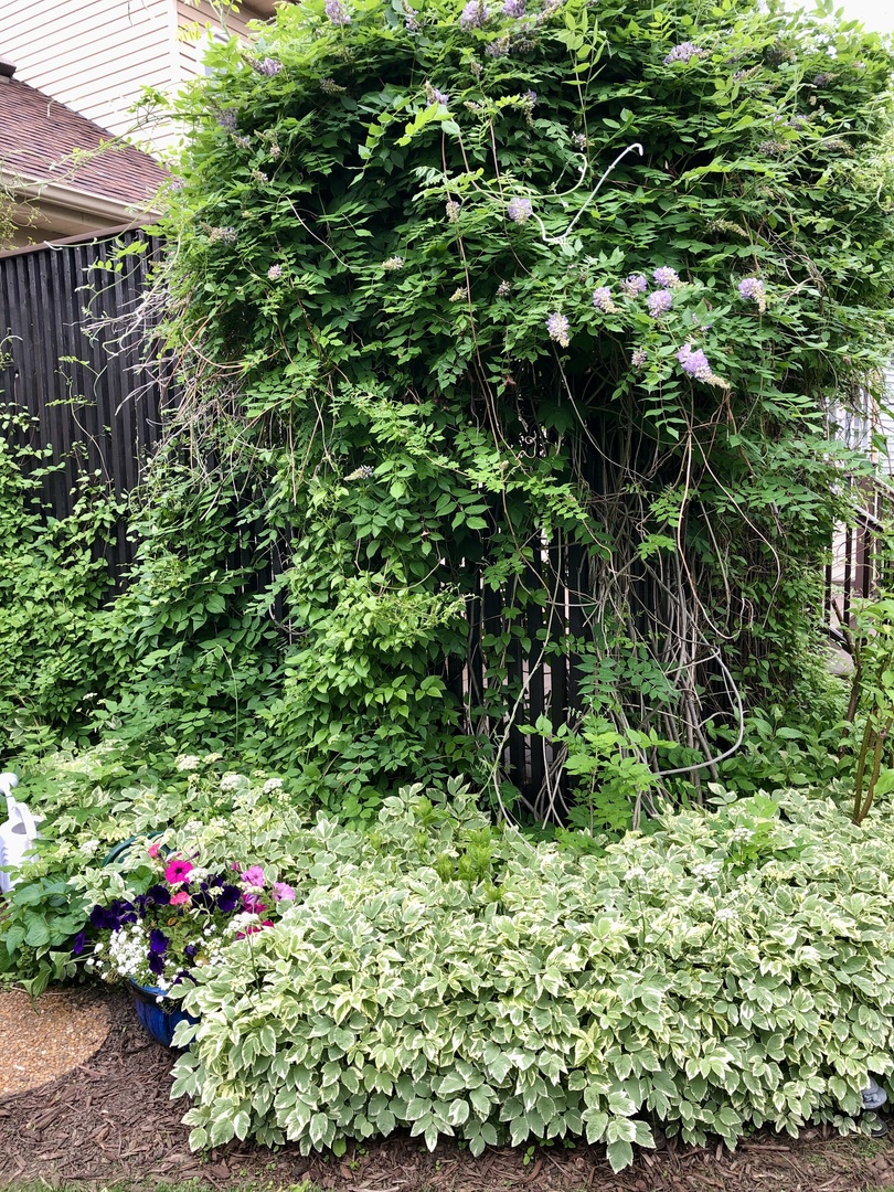 1160 Millview Drive, Batavia, IL 60510