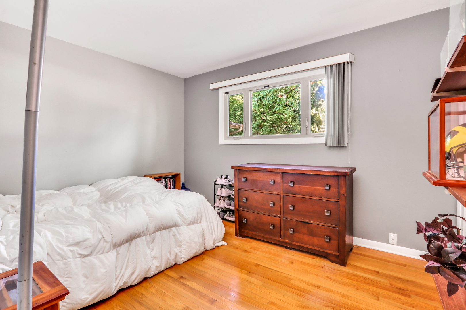 230 N Alleghany Road, Grayslake, IL 60030