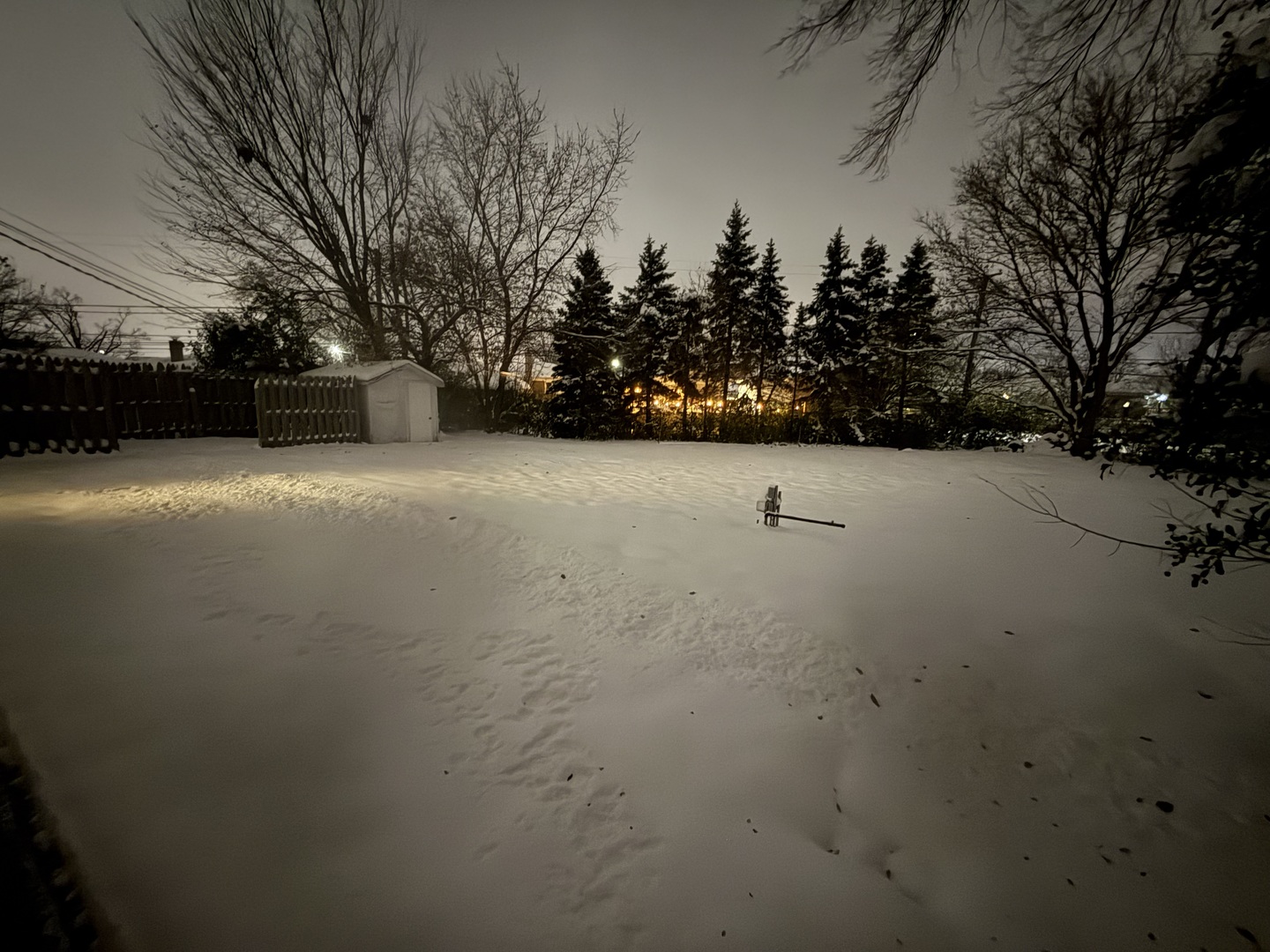 7741 W Argyle Street, Norridge, IL 60706