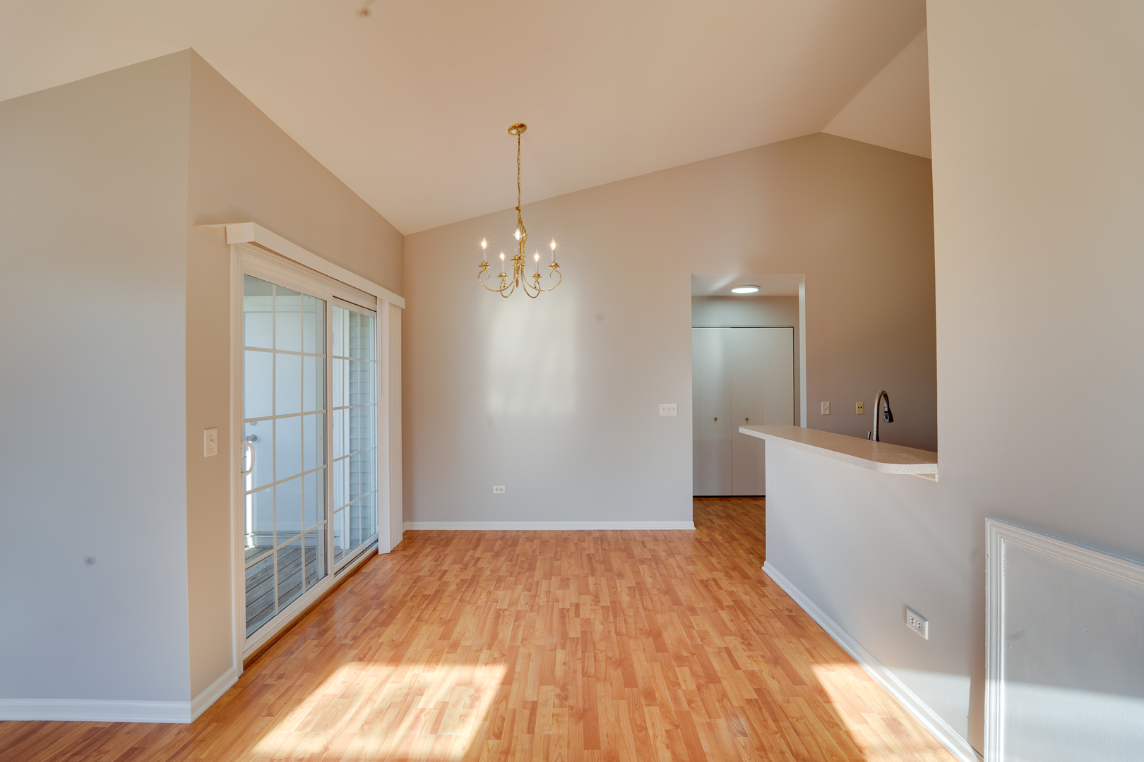 1231 SILVERSTONE Drive #1231, Carpentersville, IL 60110