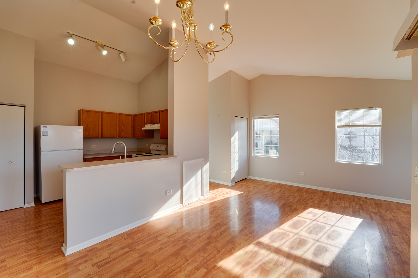 1231 SILVERSTONE Drive #1231, Carpentersville, IL 60110