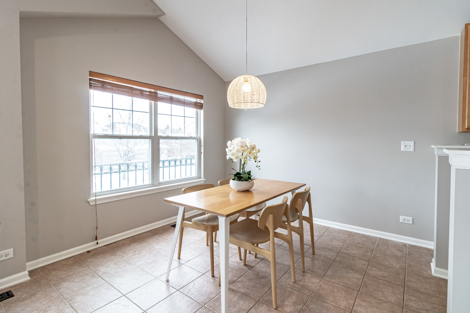 349 Pine Lake Circle, Vernon Hills, IL 60061