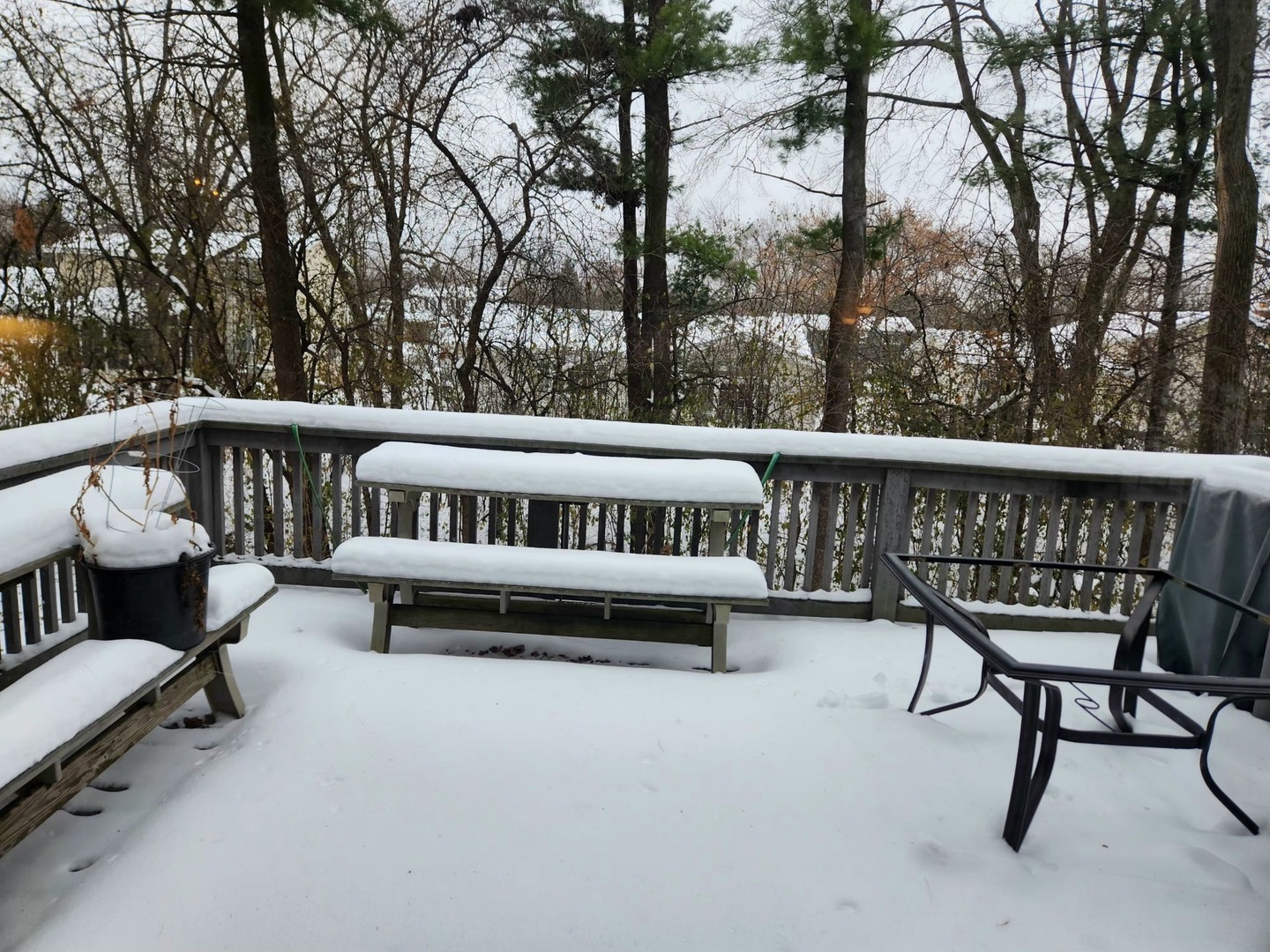 6808 Scotch Pine Trail, Darien, IL 60561