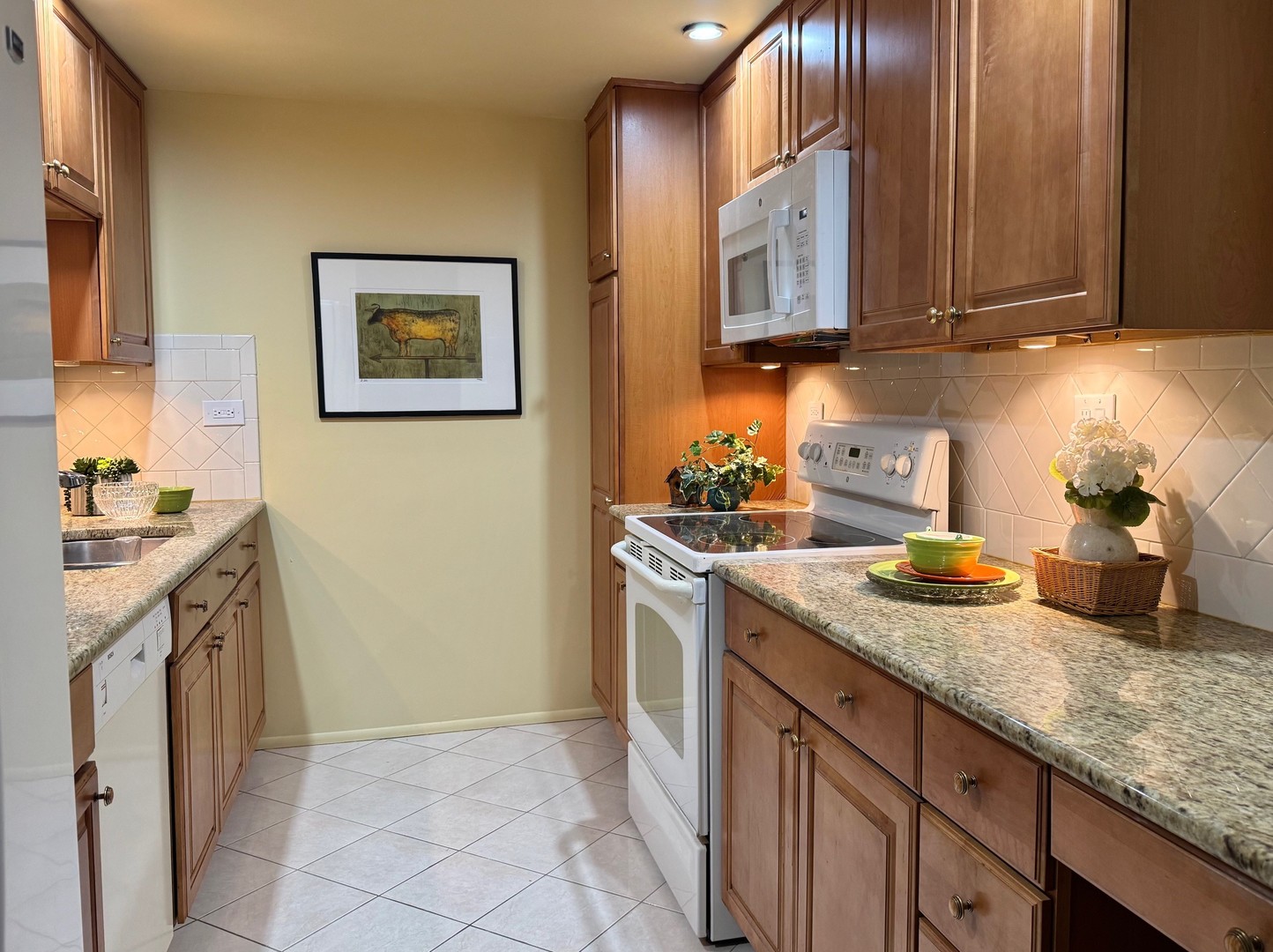 825 Pearson Street #3D, Des Plaines, IL 60016