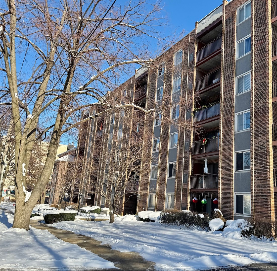 825 Pearson Street #3D, Des Plaines, IL 60016