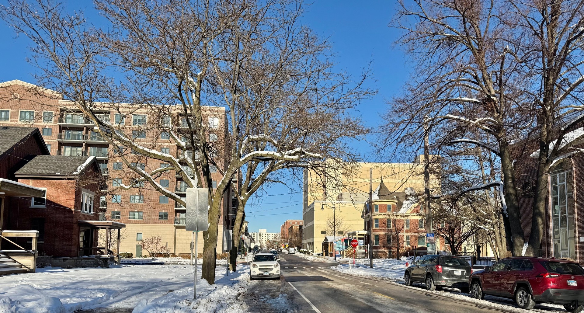 825 Pearson Street #3D, Des Plaines, IL 60016