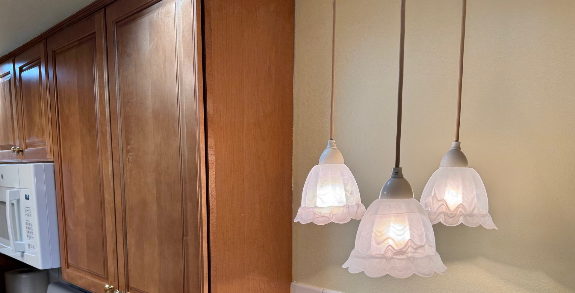 825 Pearson Street #3D, Des Plaines, IL 60016