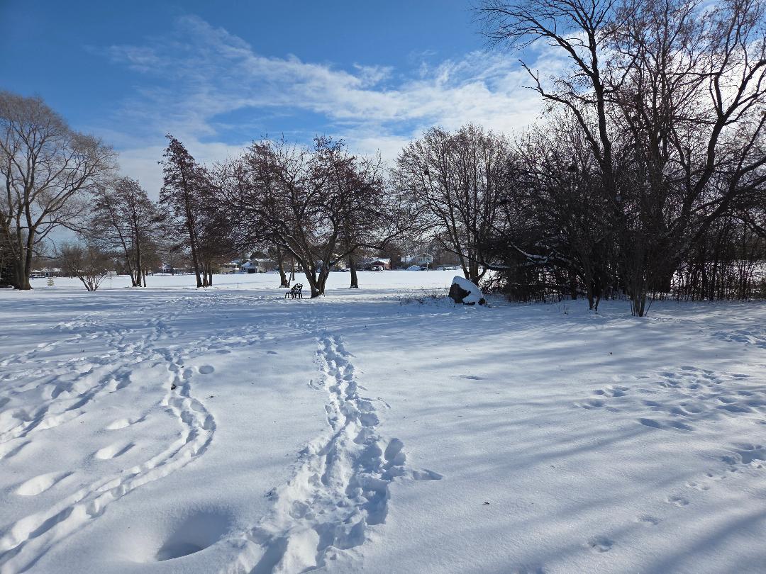 Schaumburg, IL 60193