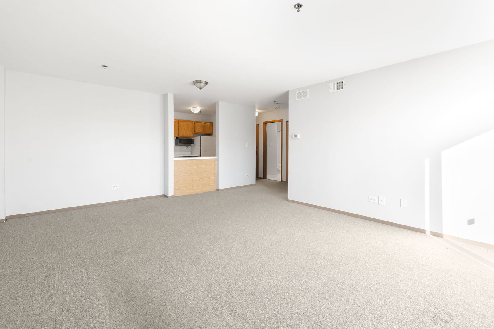 3255 Kirchoff Road #306, Rolling Meadows, IL 60008