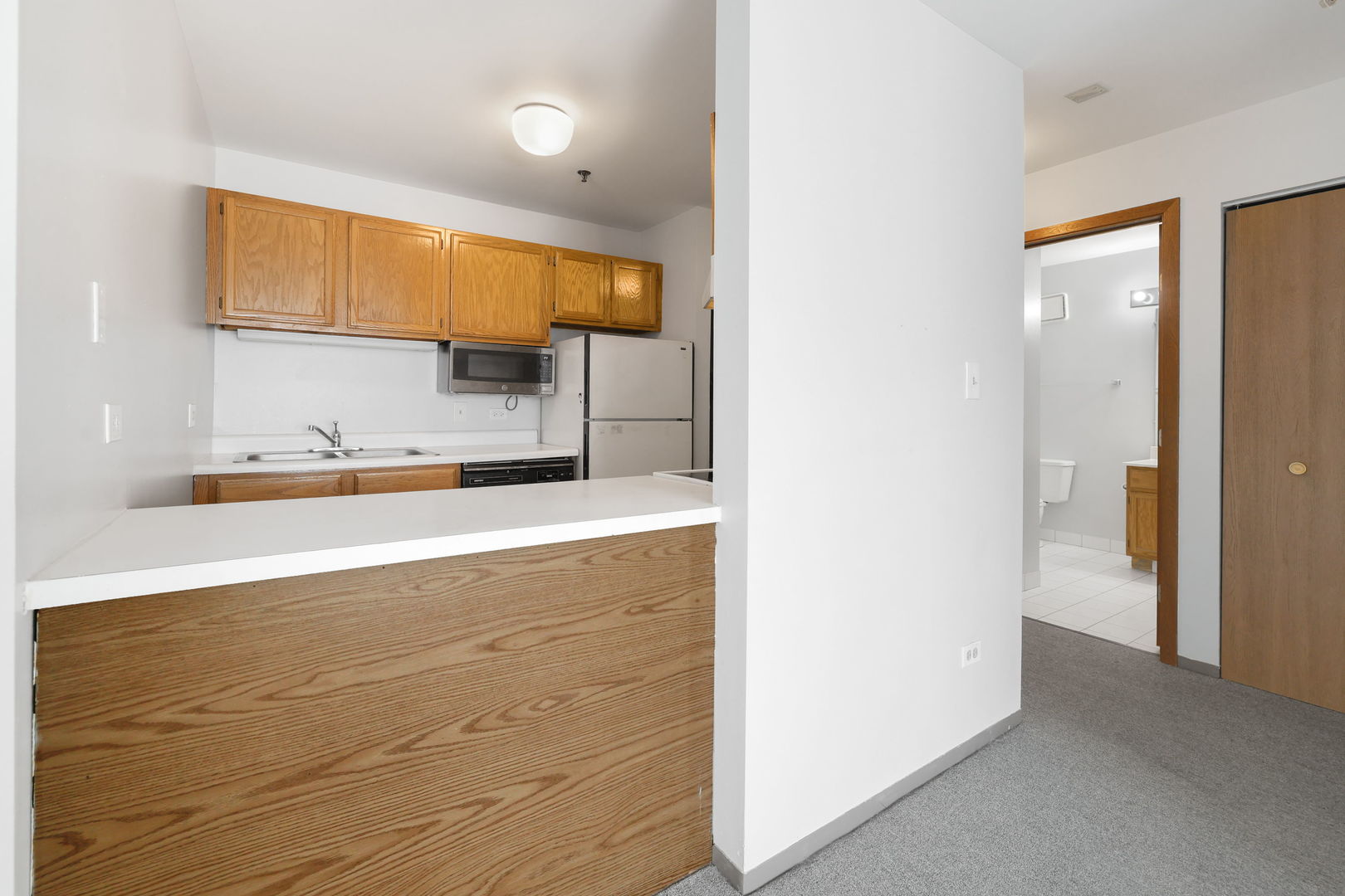 3255 Kirchoff Road #306, Rolling Meadows, IL 60008