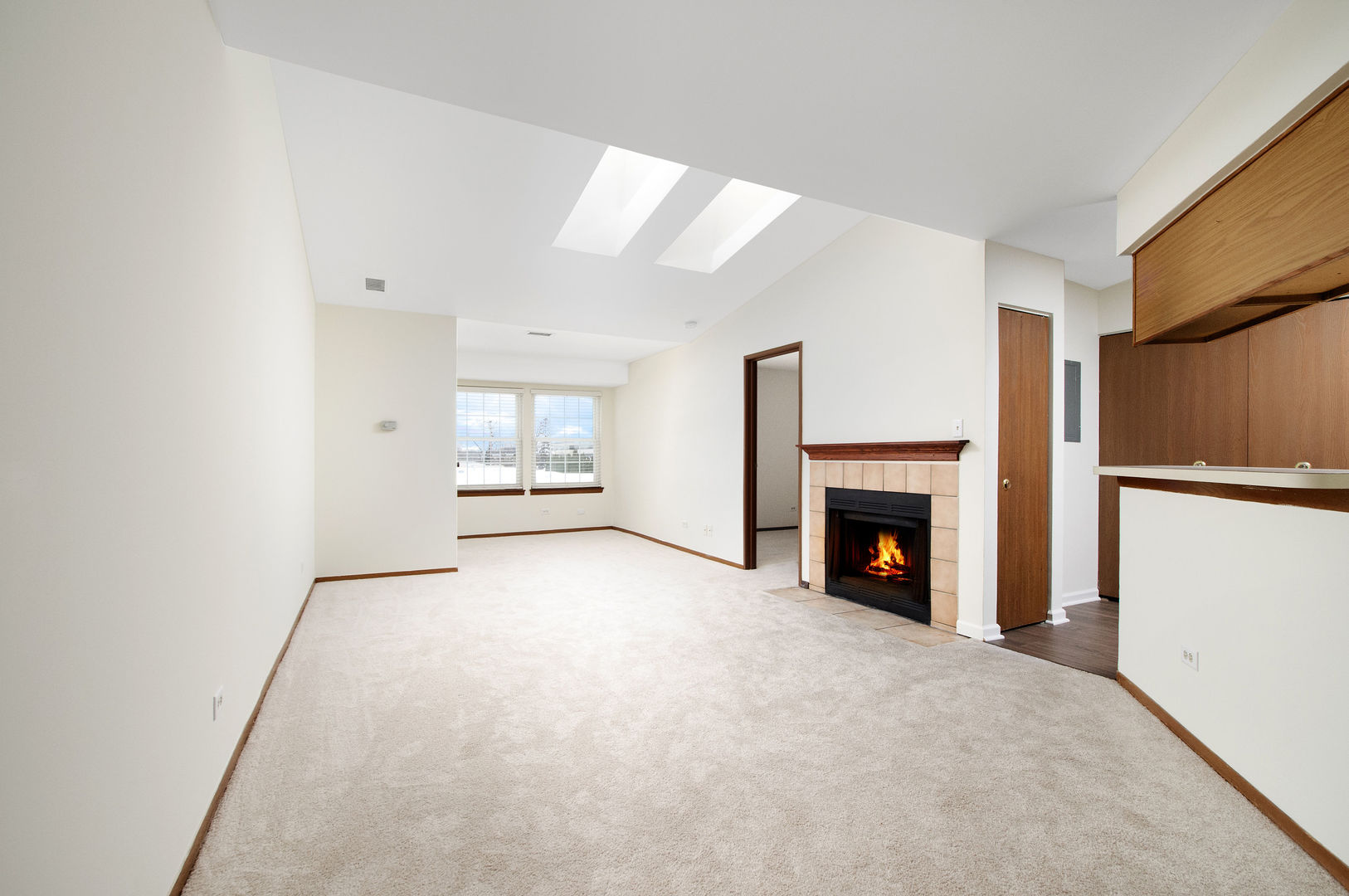 1345 Wyndam Circle #203, Palatine, IL 60074