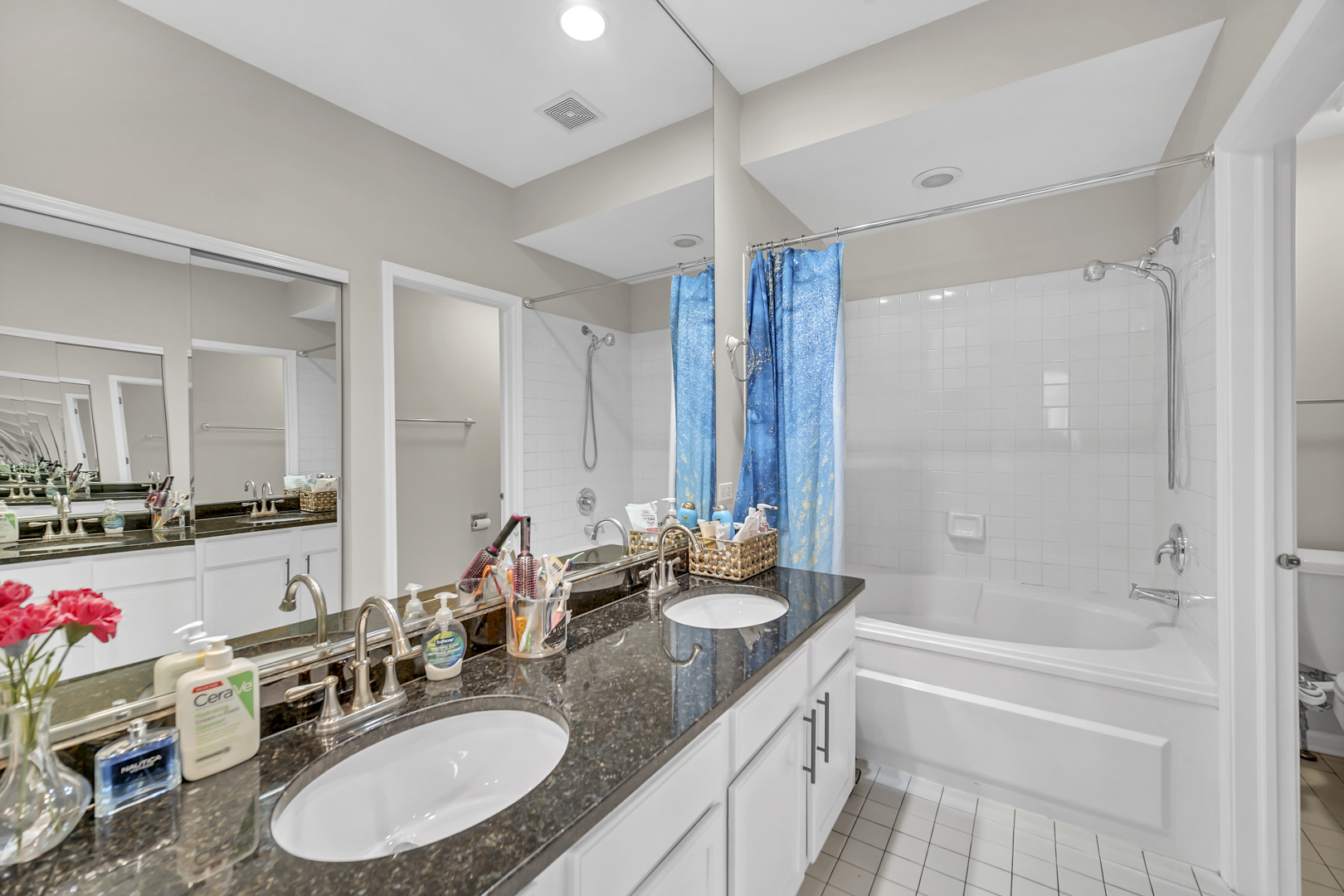 2470 PALAZZO Court, Buffalo Grove, IL 60089