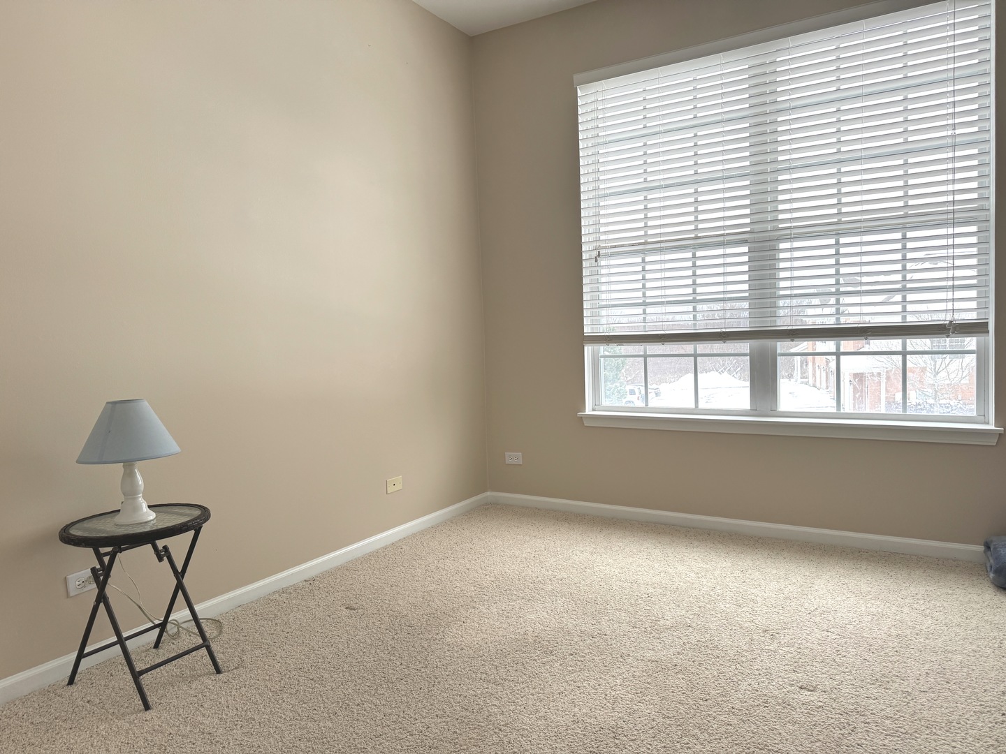 4206 Savoy Lane #4206, McHenry, IL 60050