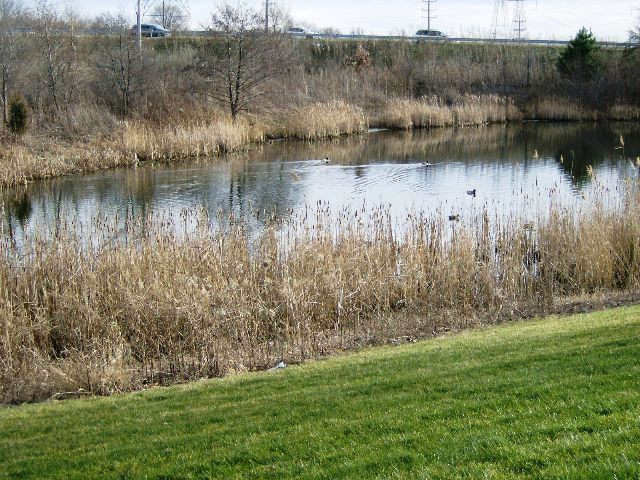 457 Metropolitan Street, Aurora, IL 60502