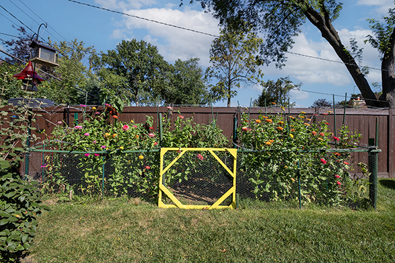 320 Cornell Avenue, Des Plaines, IL 60016