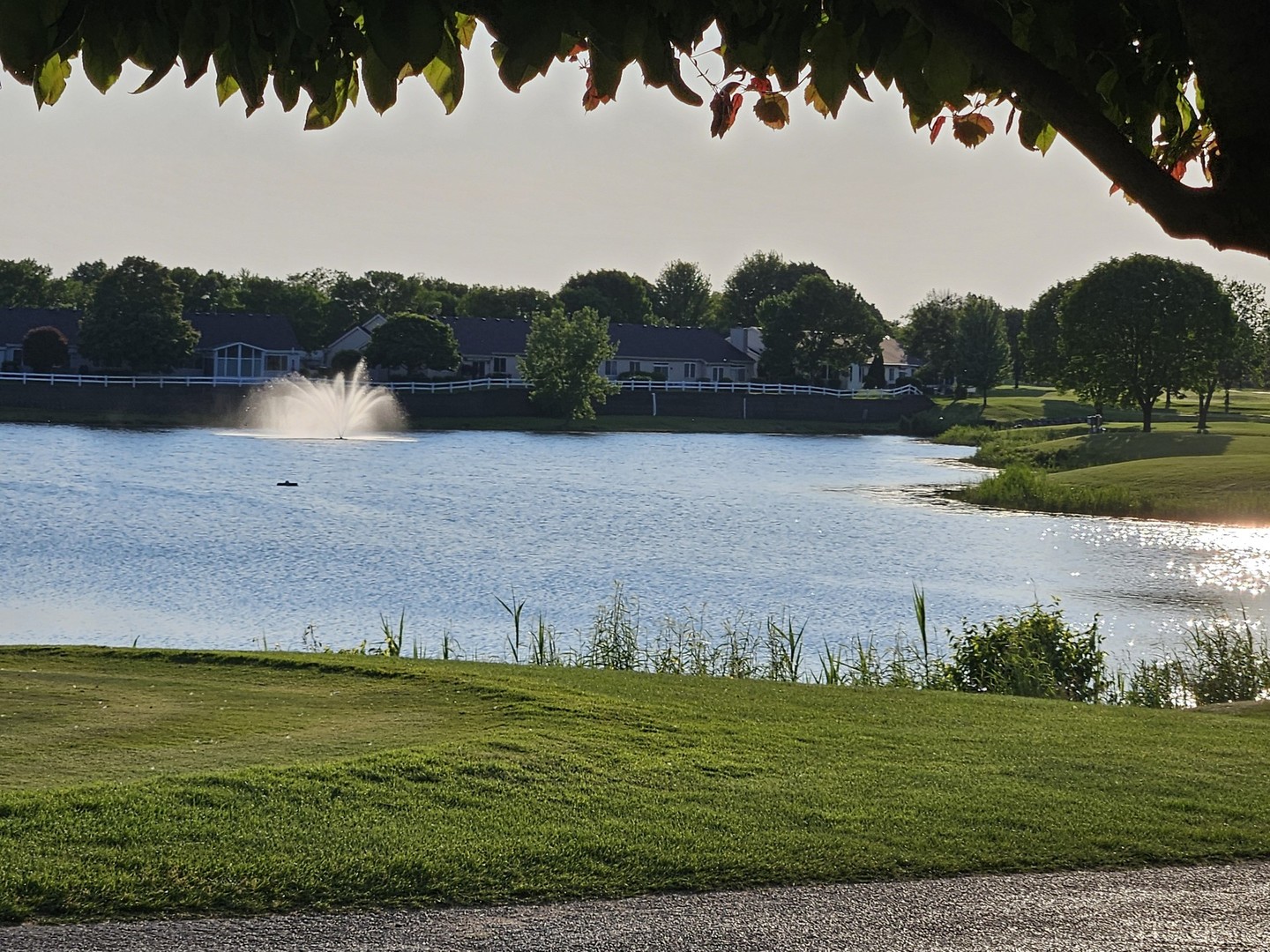 21144 W Buckeye Court, Plainfield, IL 60544