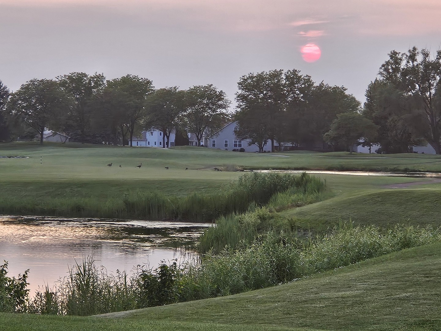 21144 W Buckeye Court, Plainfield, IL 60544