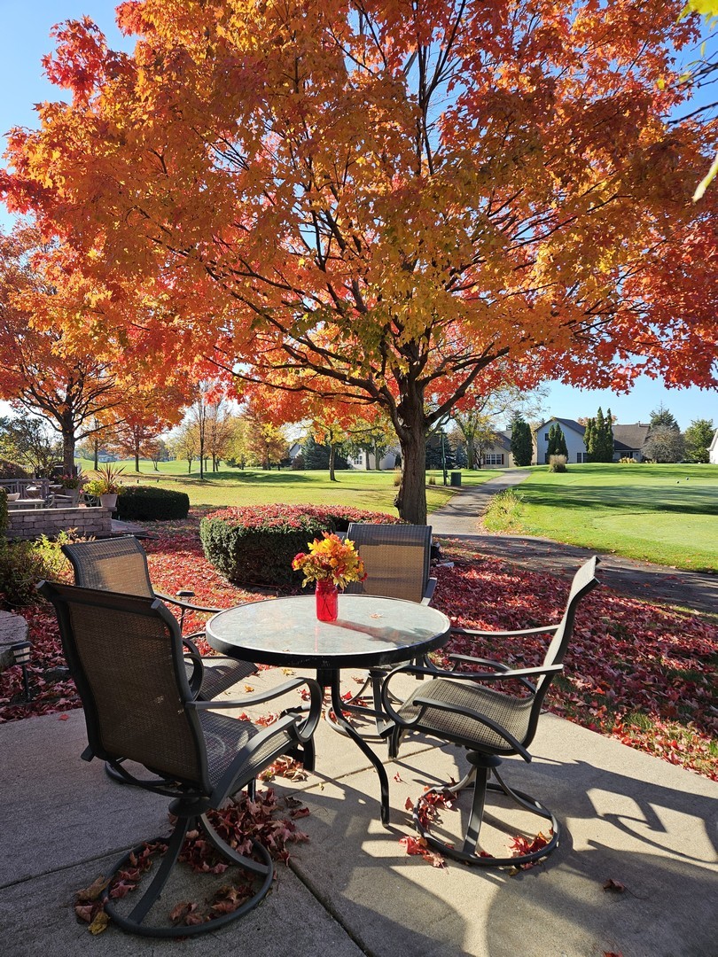 21144 W Buckeye Court, Plainfield, IL 60544