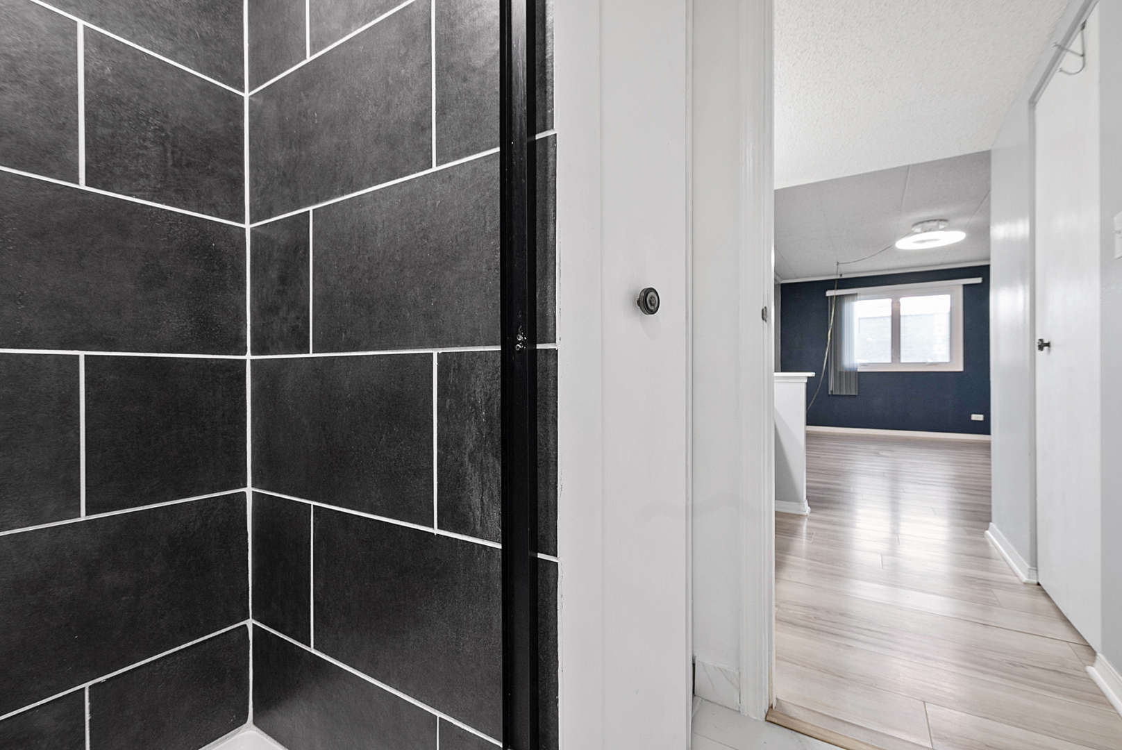 10355 Menard Avenue #216, Oak Lawn, IL 60453