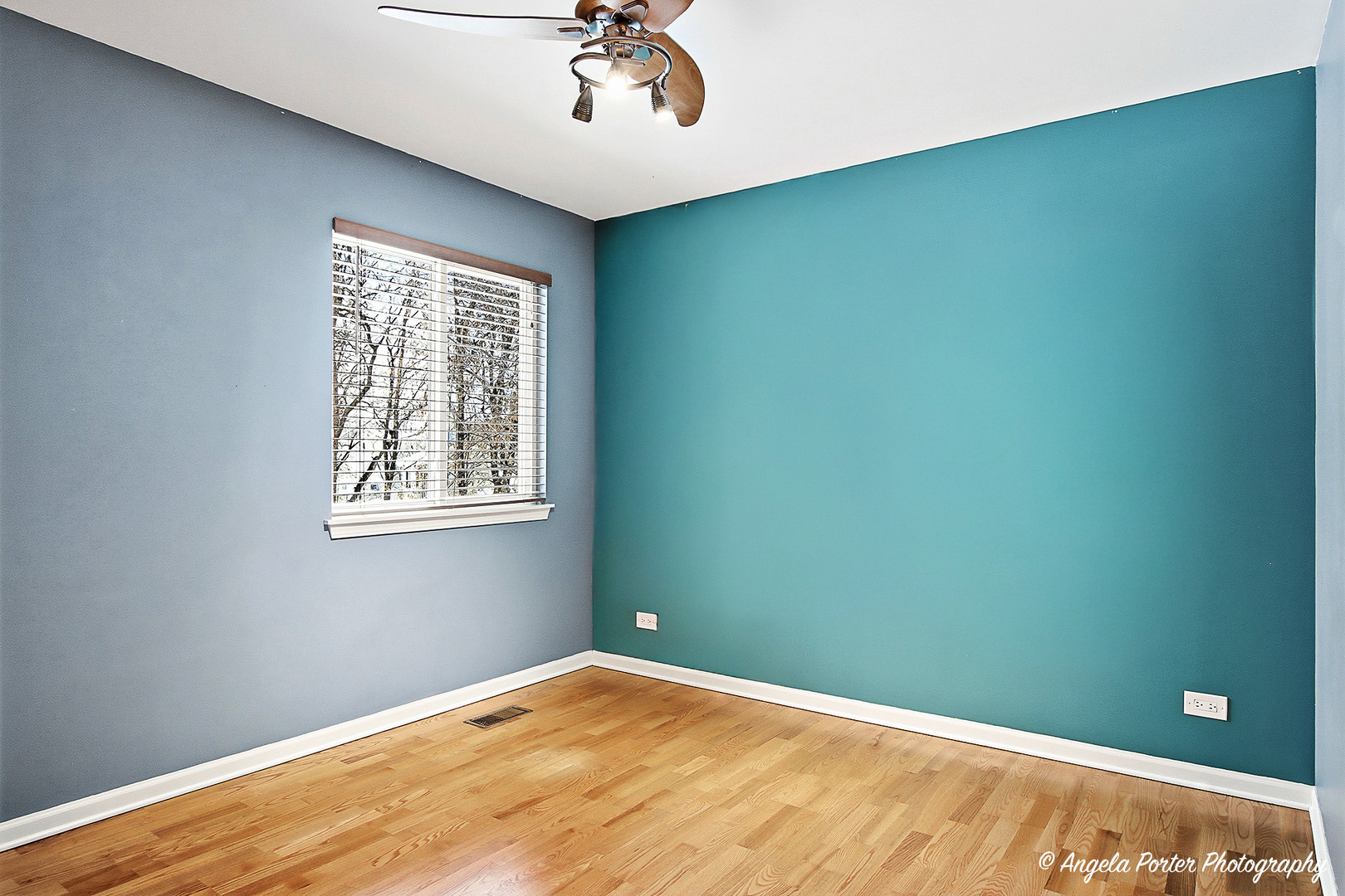 25735 W Woodland Drive, Round Lake, IL 60073