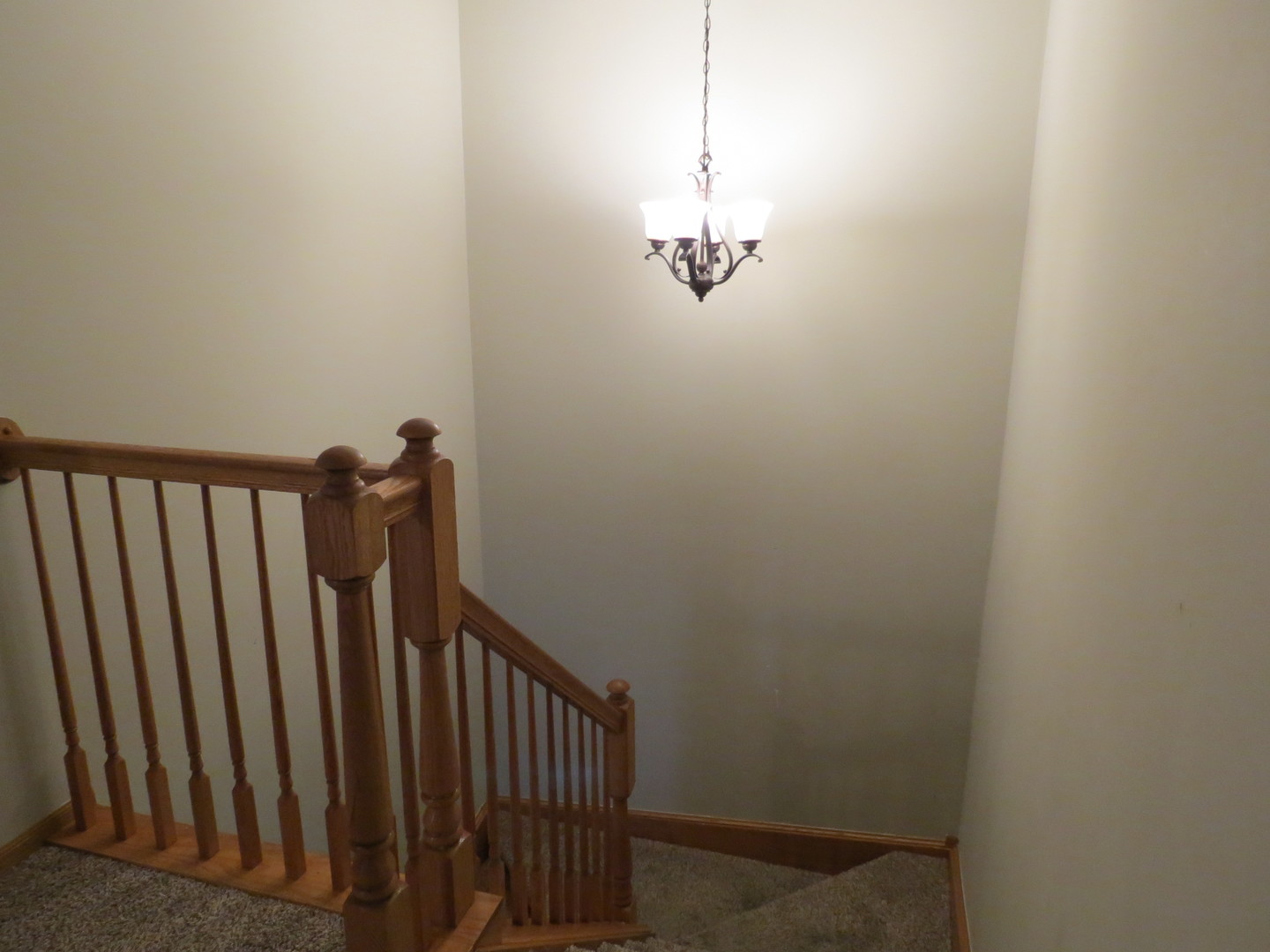 191 Mountain Laurel Court, Romeoville, IL 60446