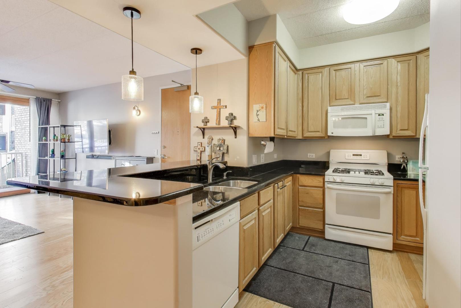 1715 Pavilion Way #206, Park Ridge, IL 60068