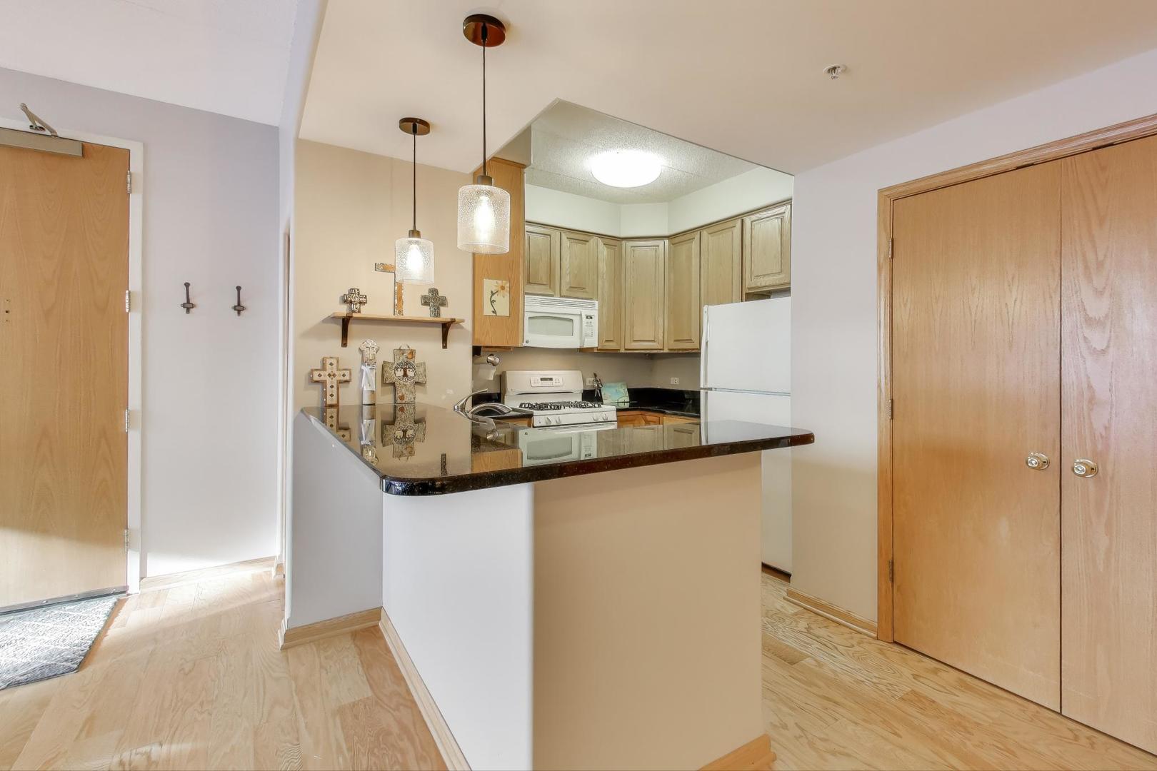 1715 Pavilion Way #206, Park Ridge, IL 60068