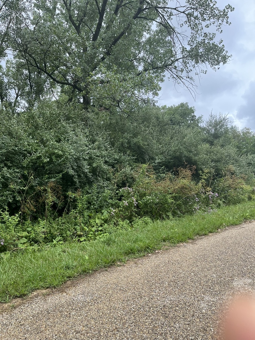 6 Walnut Drive, Putnam, IL 61560