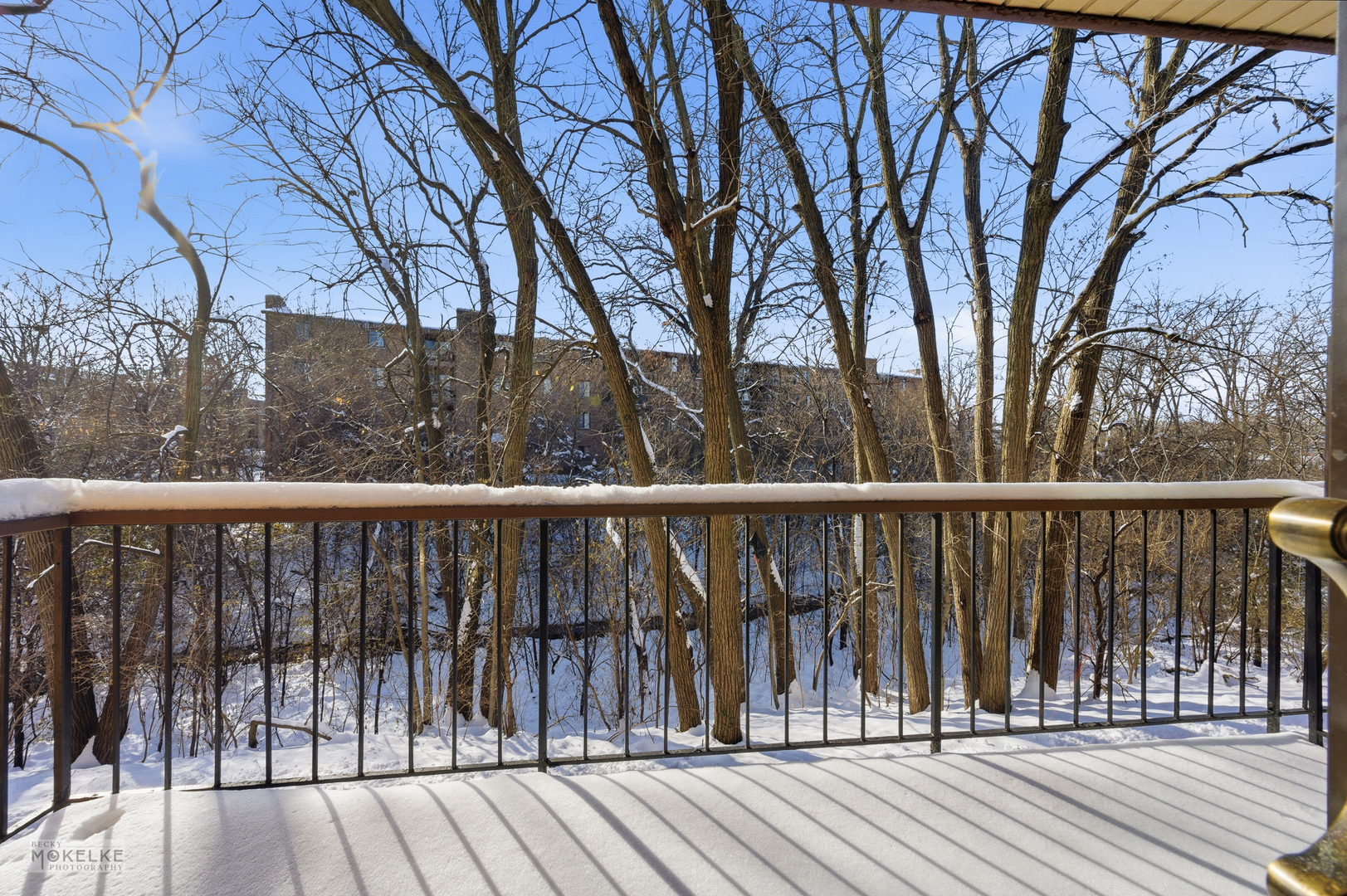 7502 Farmingdale Drive #206, Darien, IL 60561