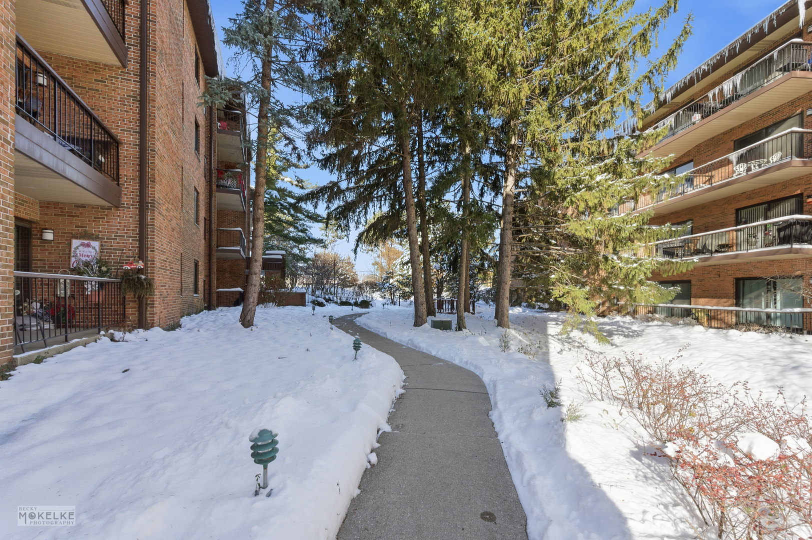 7502 Farmingdale Drive #206, Darien, IL 60561