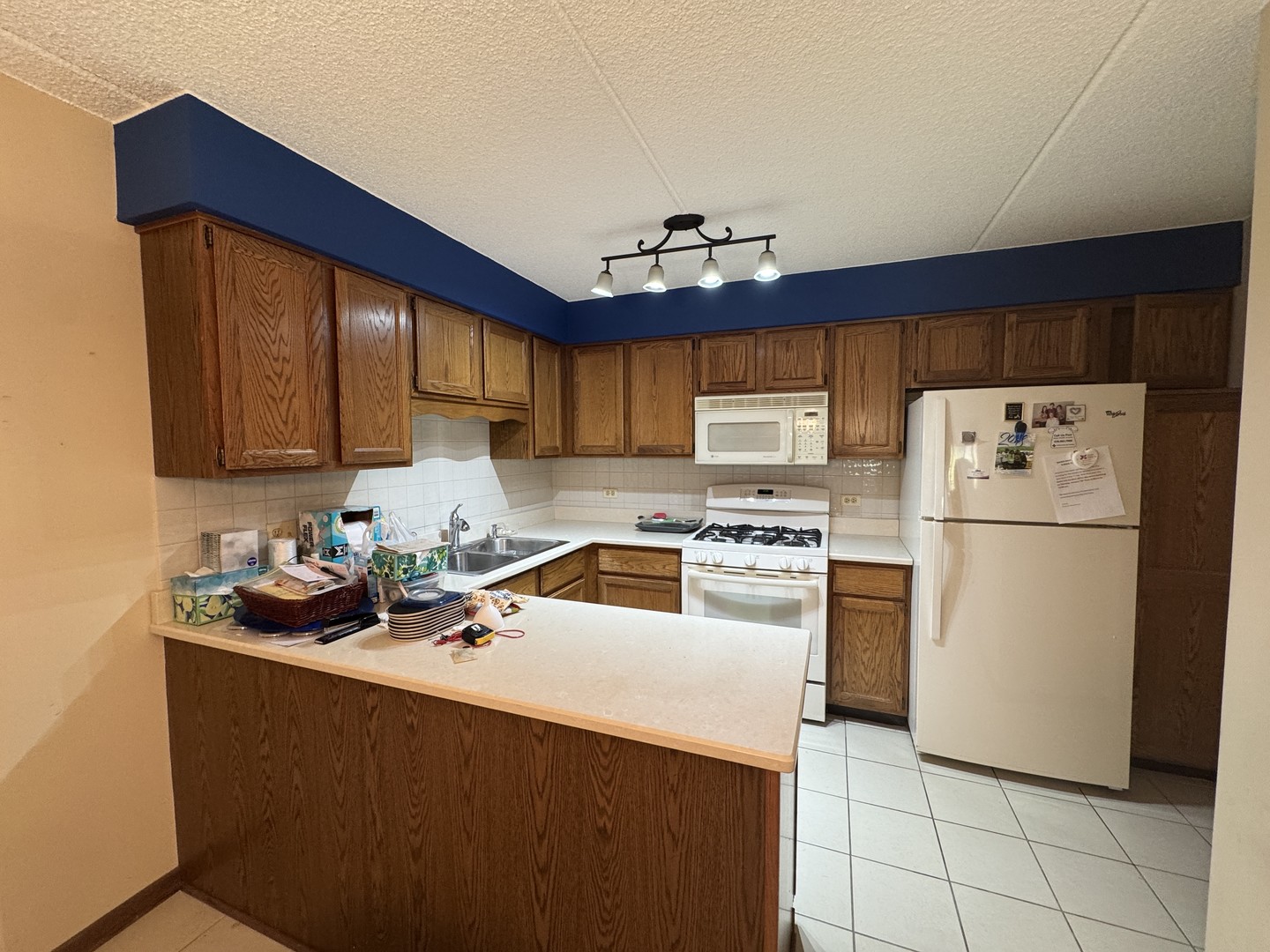 6433 W Belle Plaine Avenue #302, Chicago, IL 60634