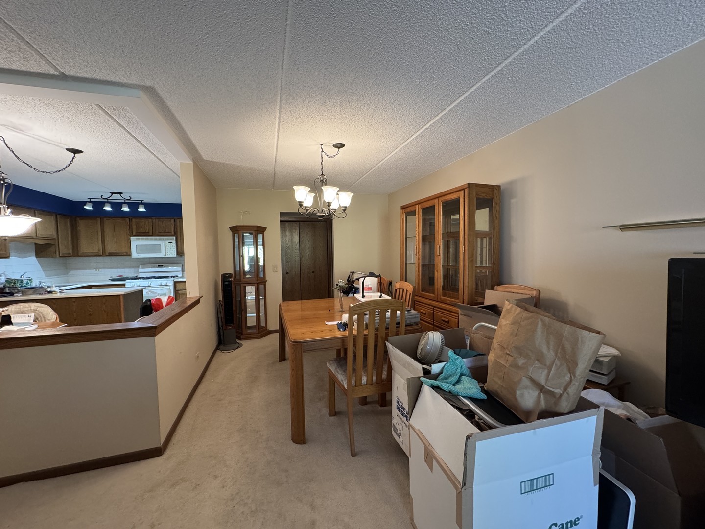 6433 W Belle Plaine Avenue #302, Chicago, IL 60634