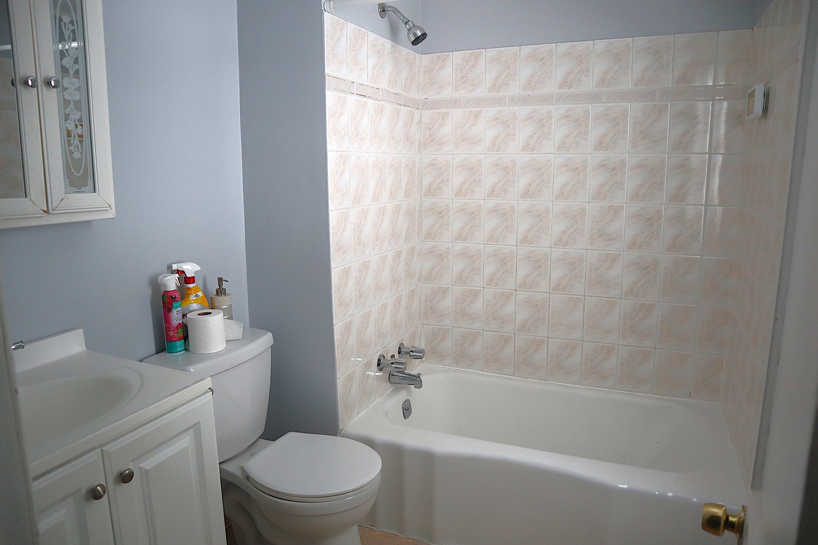 1934 W 21st Place, Chicago, IL 60608