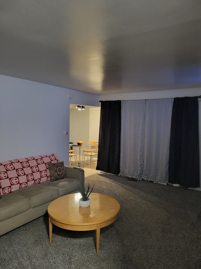 701 Spring Court #6, University Park, IL 60484