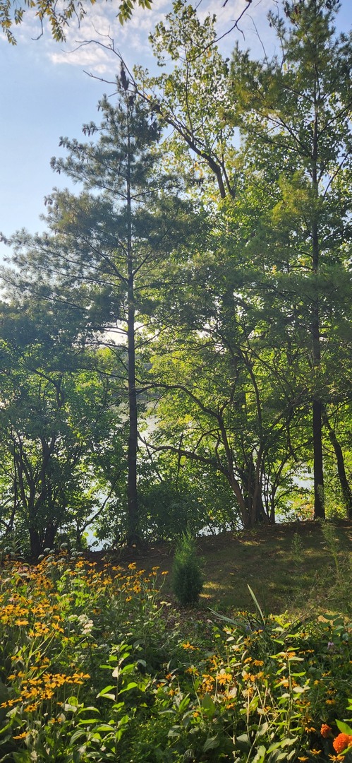 5534 E Lake Drive #E, Lisle, IL 60532