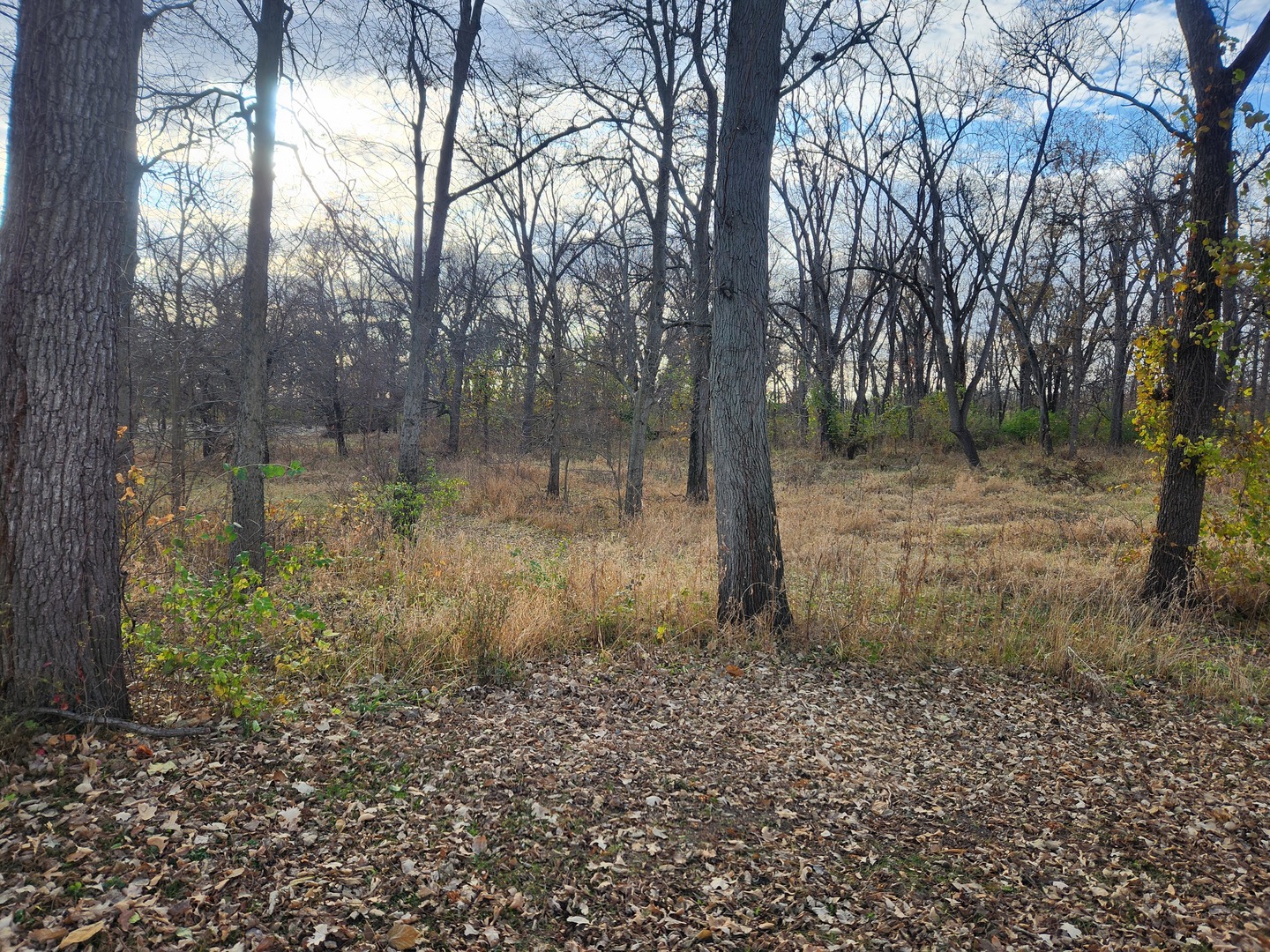 302 S Walnut Street, Colfax, IL 61728