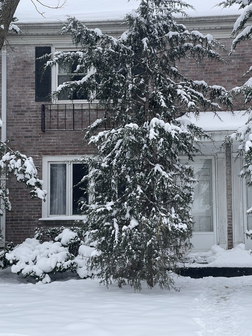 907 N Raynor Avenue, Joliet, IL 60435