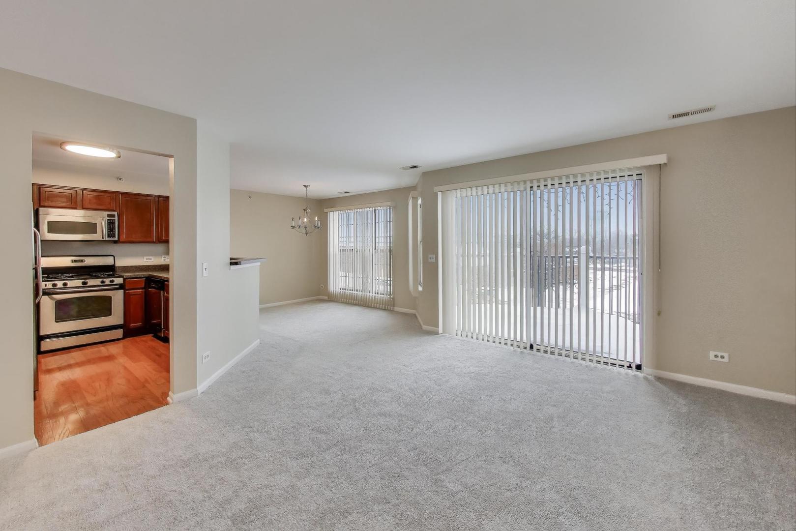 249 W Lynn Drive #6, Palatine, IL 60067