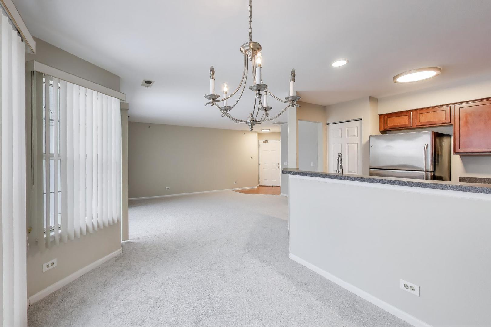 249 W Lynn Drive #6, Palatine, IL 60067