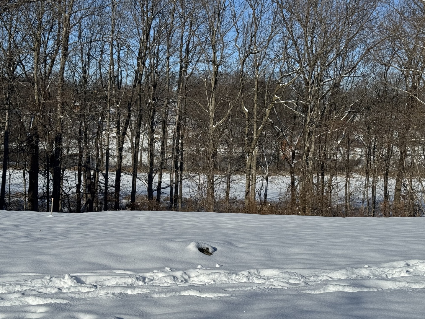 207 Windham Circle, Yorkville, IL 60560