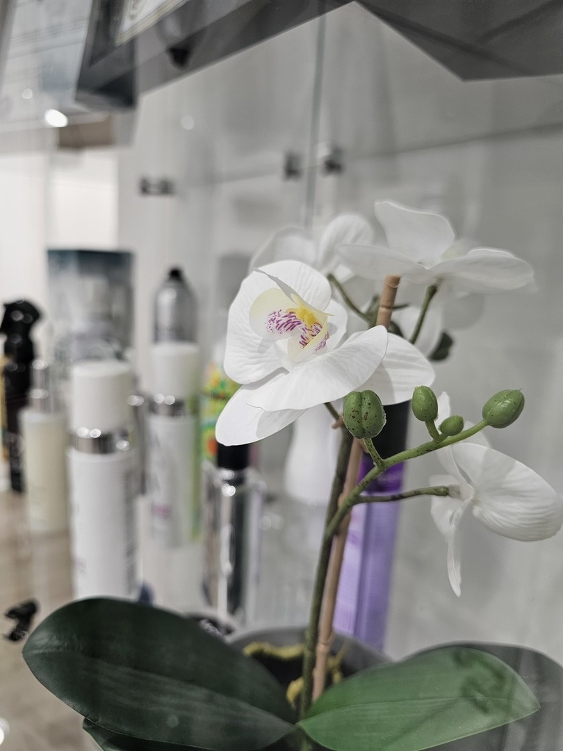 3110 N Sheridan Road, Chicago, IL 60657