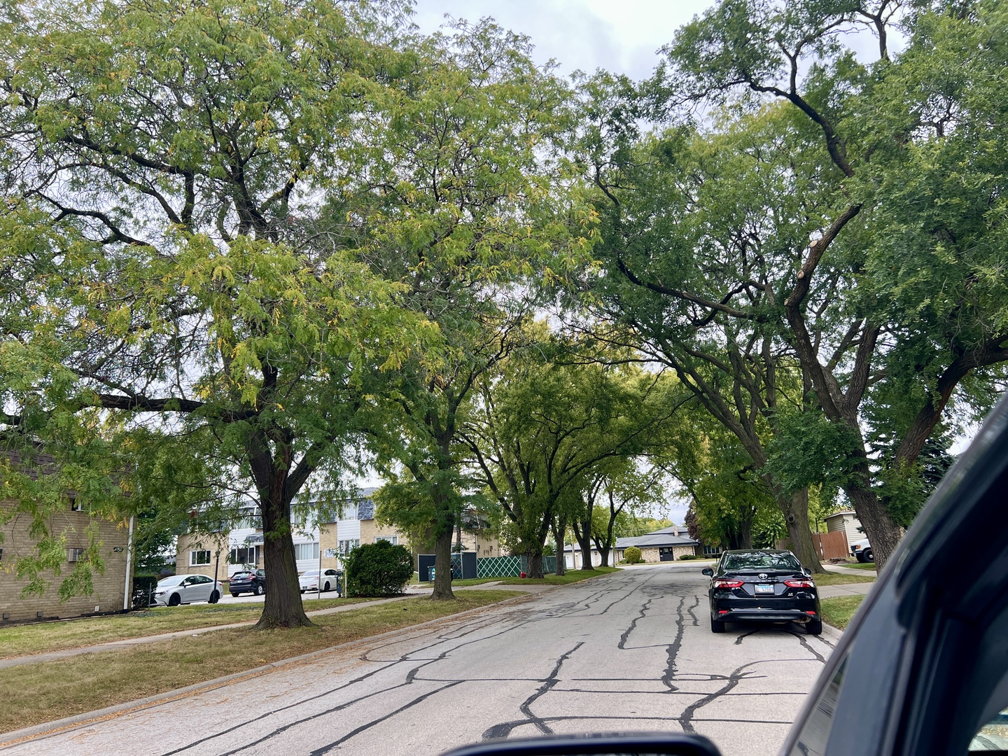 12026 S Kildare Avenue #16, Alsip, IL 60803