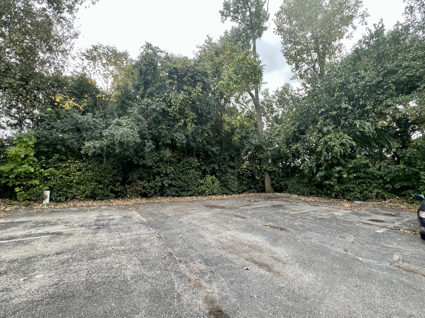 12026 S Kildare Avenue #16, Alsip, IL 60803