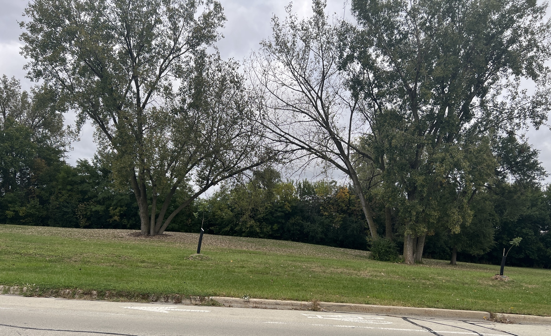 12026 S Kildare Avenue #16, Alsip, IL 60803