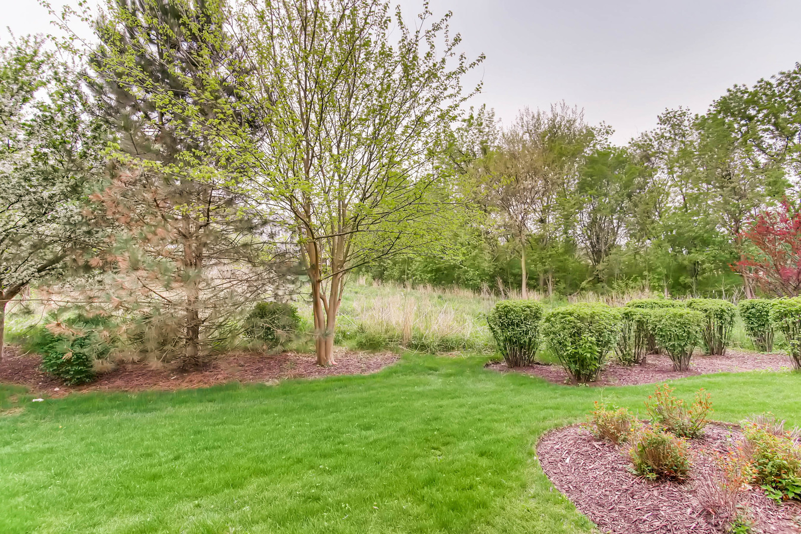 961 GENESEE Court #961, Naperville, IL 60563