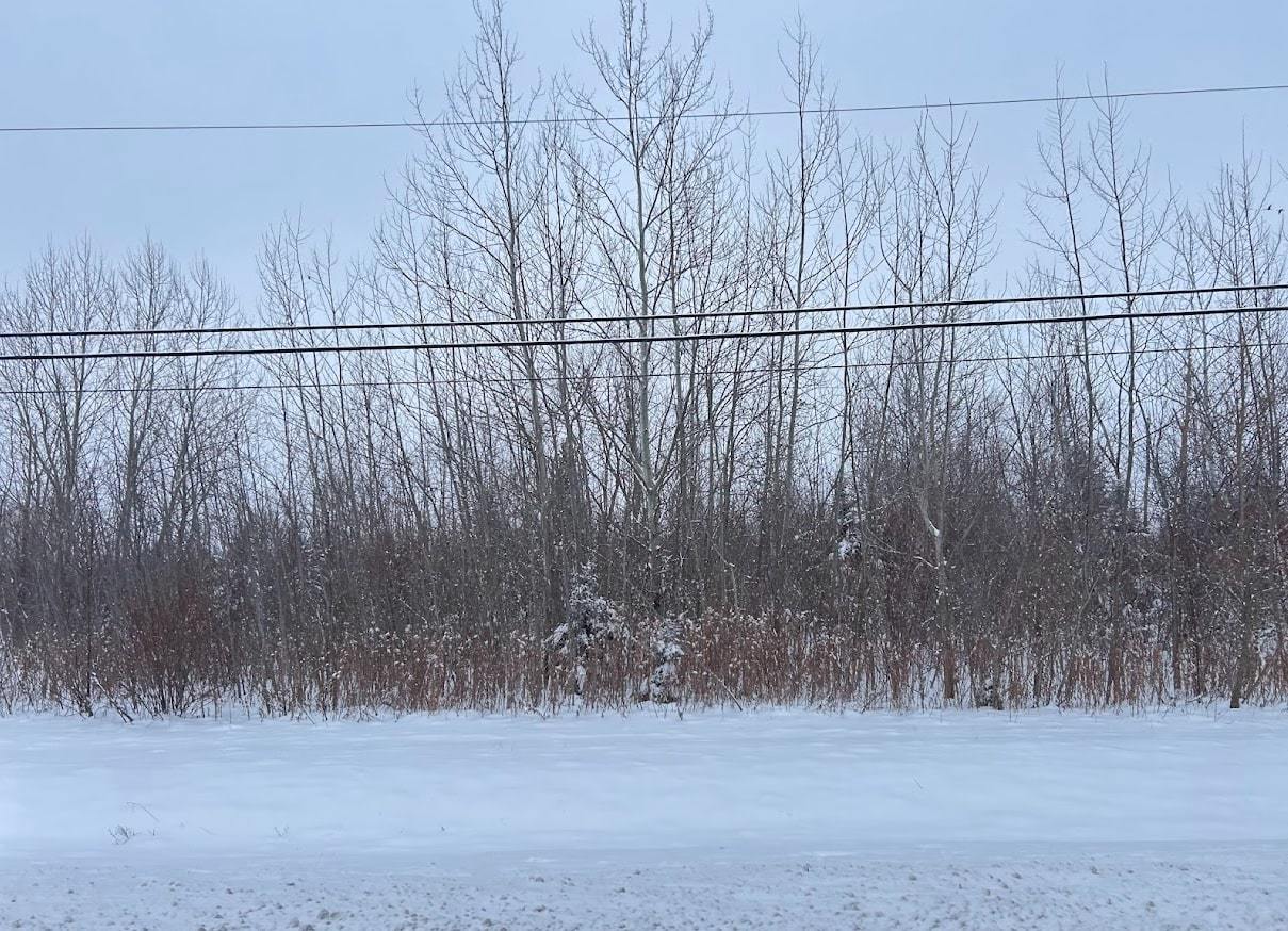 Vacant Lot W 167th Street, Lockport, IL 60441