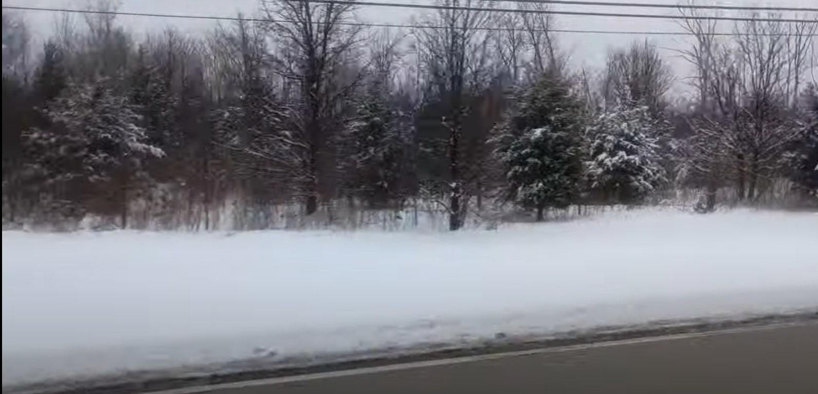 Vacant Lot W 167th Street, Lockport, IL 60441